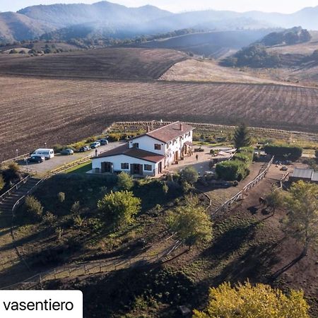 Agriturismo Il Riccio Монтиккьо Экстерьер фото