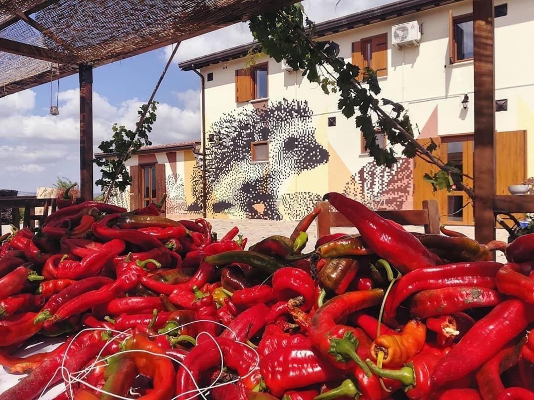 Agriturismo Il Riccio Монтиккьо Экстерьер фото