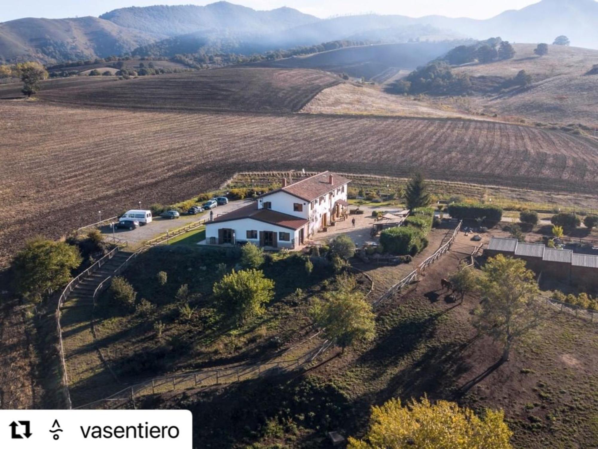 Agriturismo Il Riccio Монтиккьо Экстерьер фото