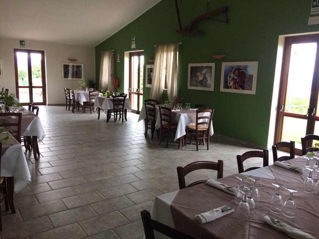 Agriturismo Il Riccio Монтиккьо Экстерьер фото