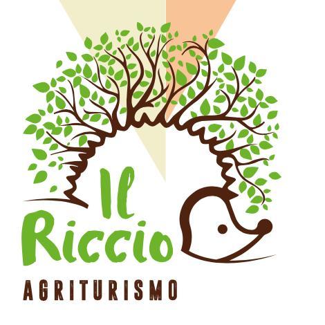 Agriturismo Il Riccio Монтиккьо Экстерьер фото