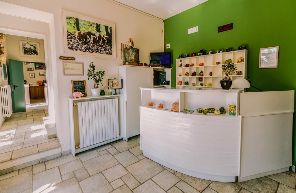 Agriturismo Il Riccio Монтиккьо Экстерьер фото