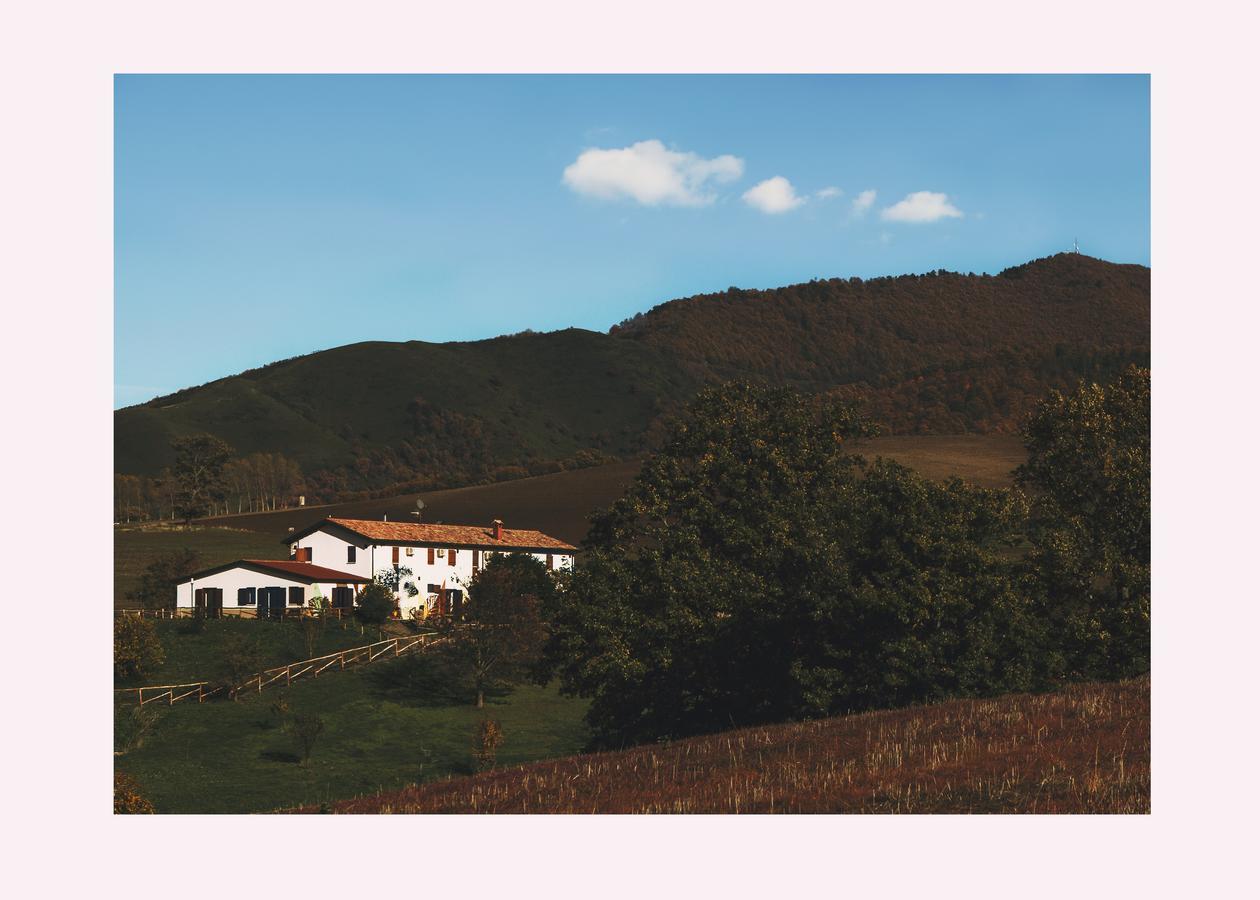 Agriturismo Il Riccio Монтиккьо Экстерьер фото