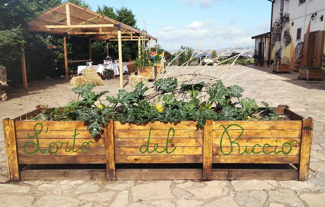 Agriturismo Il Riccio Монтиккьо Экстерьер фото