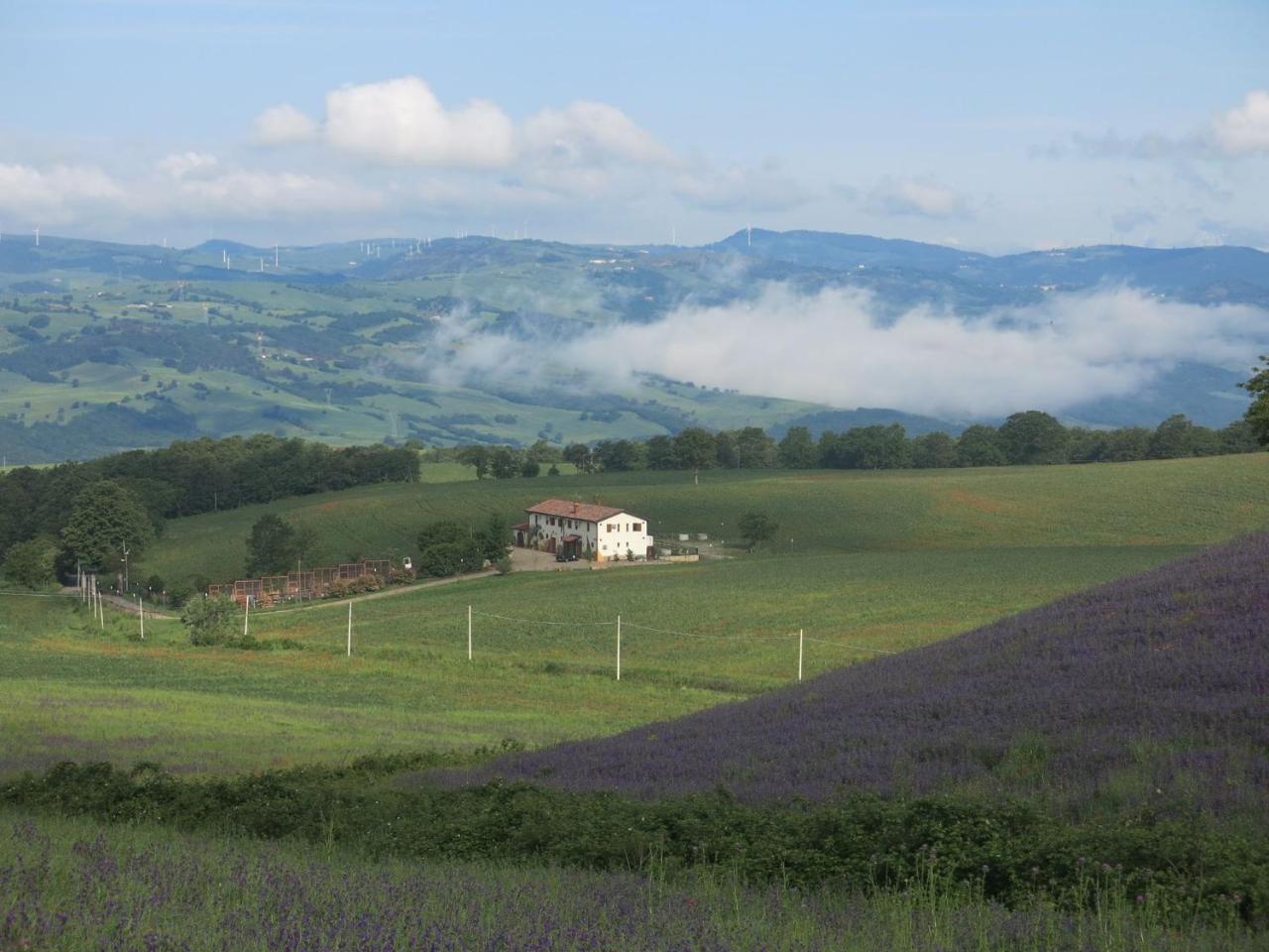 Agriturismo Il Riccio Монтиккьо Экстерьер фото