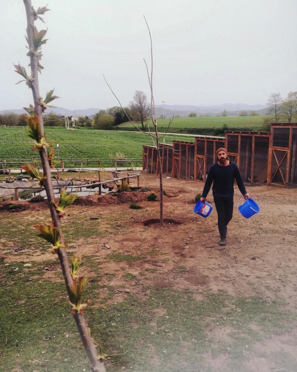 Agriturismo Il Riccio Монтиккьо Экстерьер фото