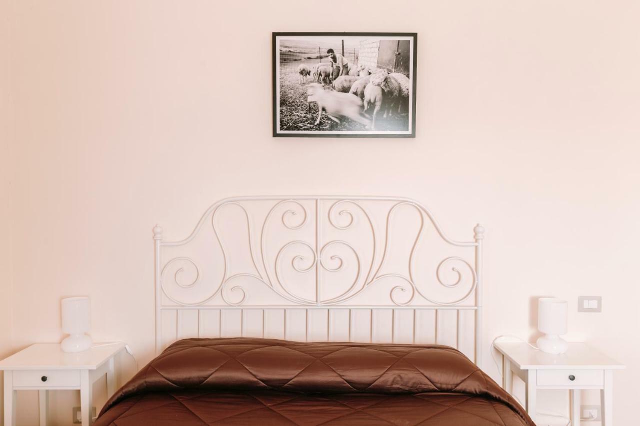 Agriturismo Il Riccio Монтиккьо Экстерьер фото